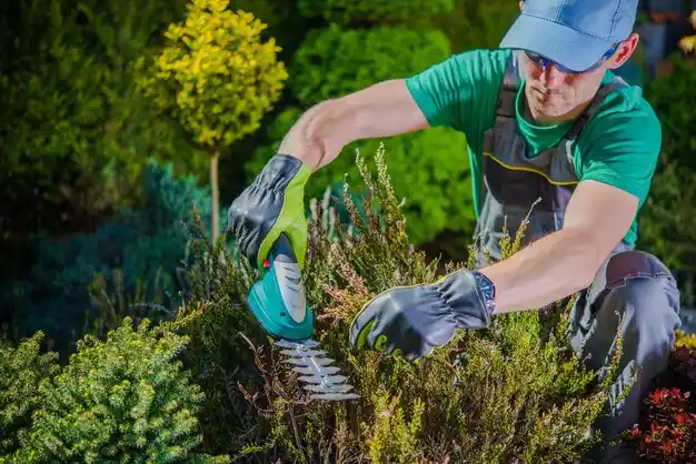 landscaping services Dunlap